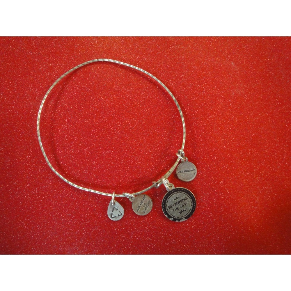 Alex and Ani bangle bracelet infused with energy technology charms flag heart ++